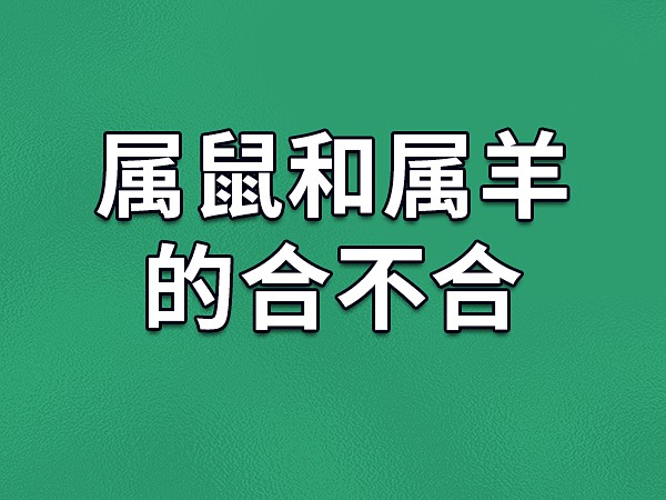 生肖羊和鼠生肖合不合？婚姻配对怎么样