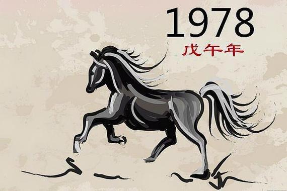 1978年属马对待感情怎么样？看透属马人感情观