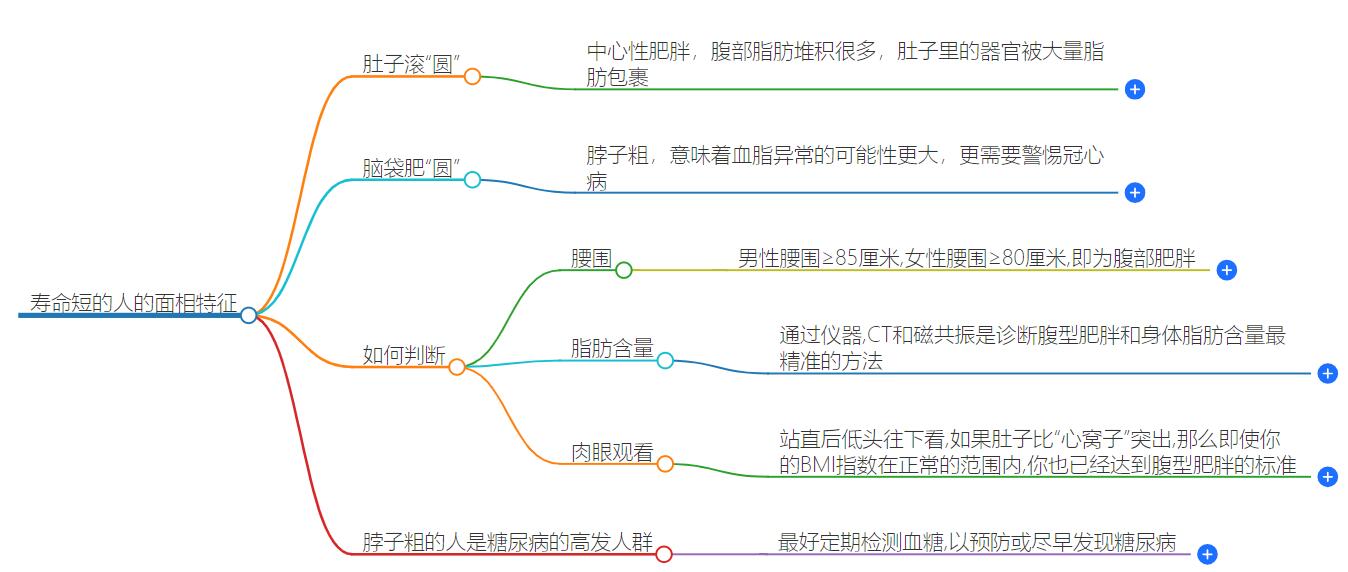 寿命短的人身上有两处是圆的是哪两处？具体特征解析