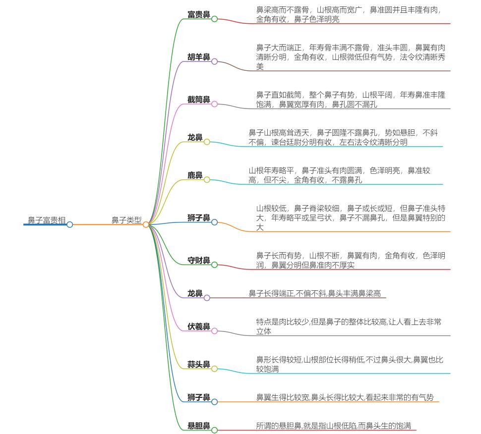 鼻子什么样子是富贵相？从鼻相解读财富与幸福