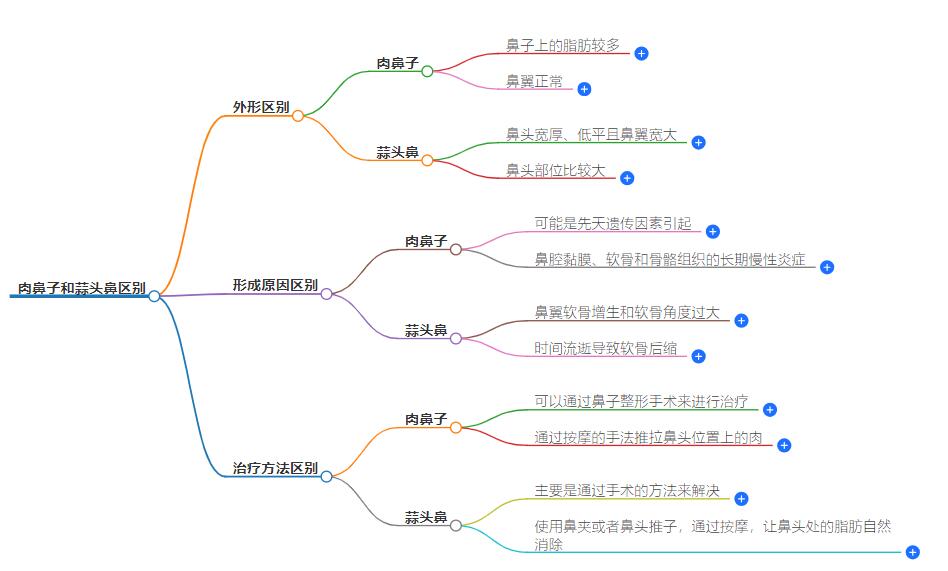 肉鼻子和蒜头鼻区别，了解不同鼻型的特征与象征