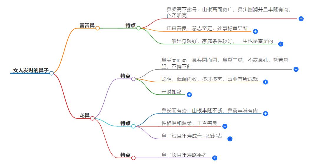 女人发财的鼻子什么样？聚财鼻型详解