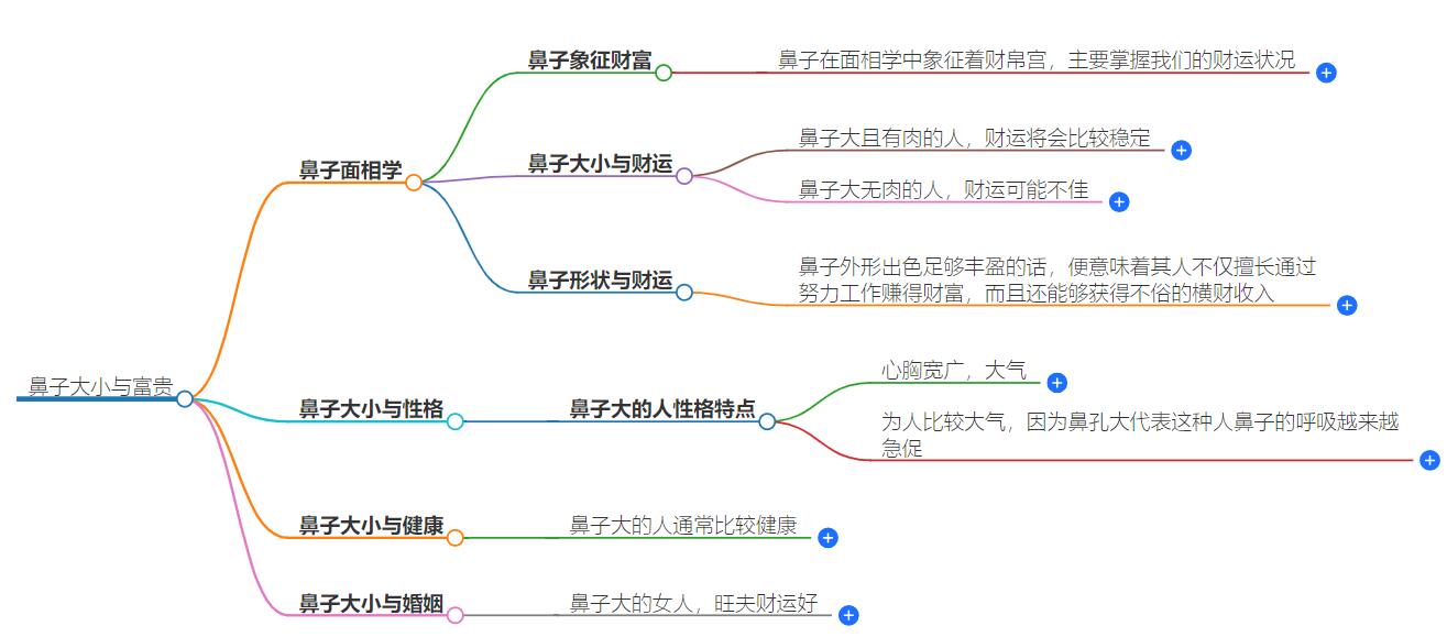 鼻子越大越富贵吗？揭秘不同鼻型的财富密码