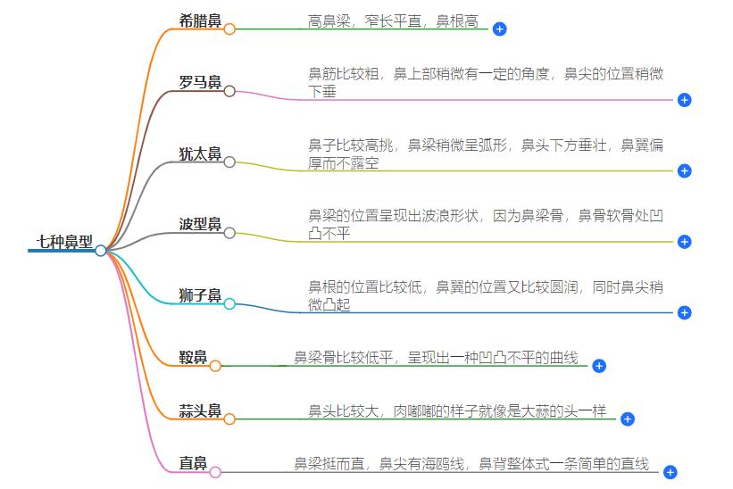 七种鼻型图解，揭开面相学的神秘面纱