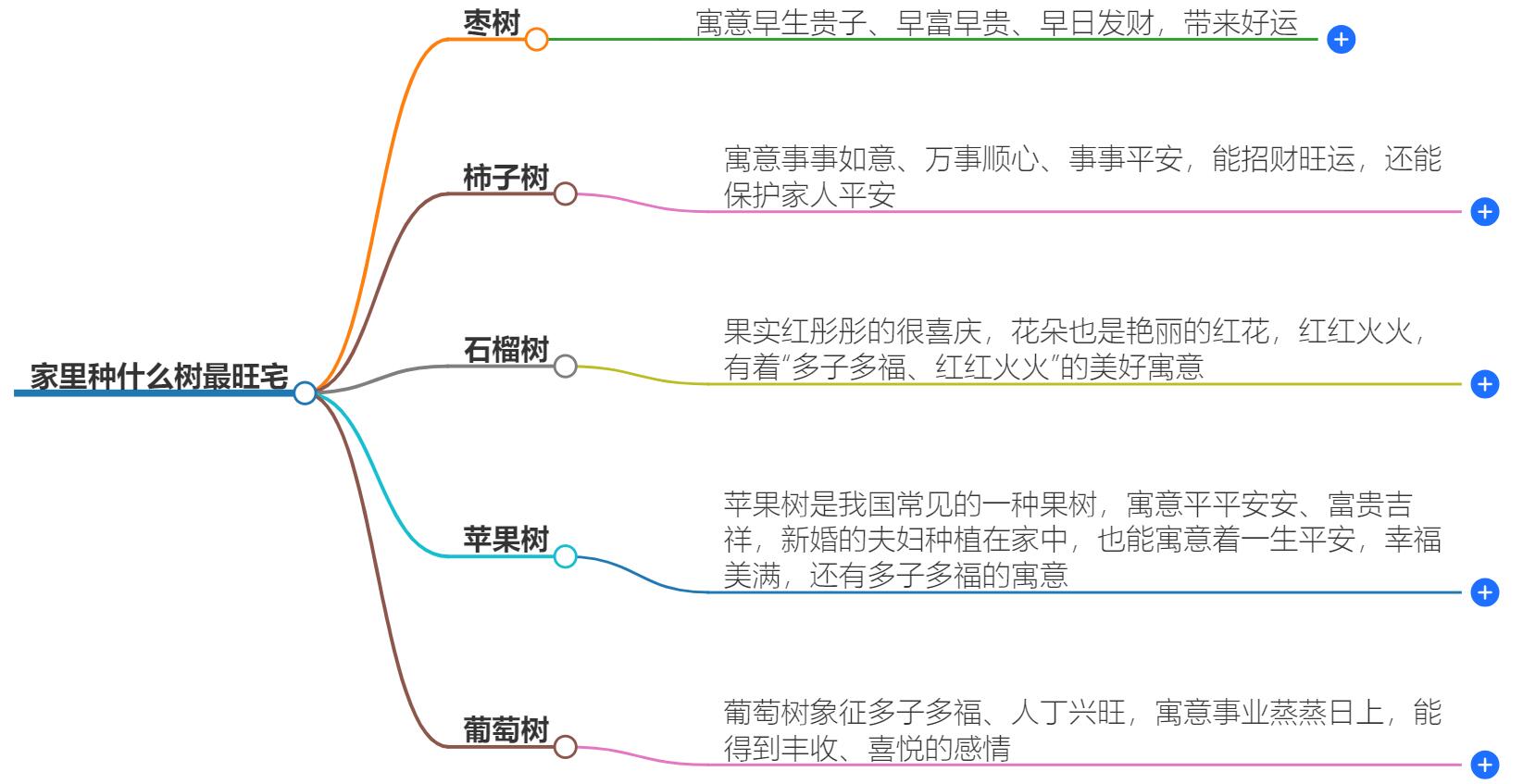 家里种什么树最旺宅？家里风水布局解析