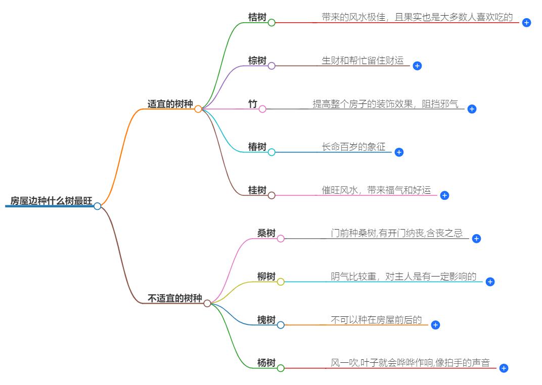 房屋边种什么树最旺呢？房屋周围的风水指南