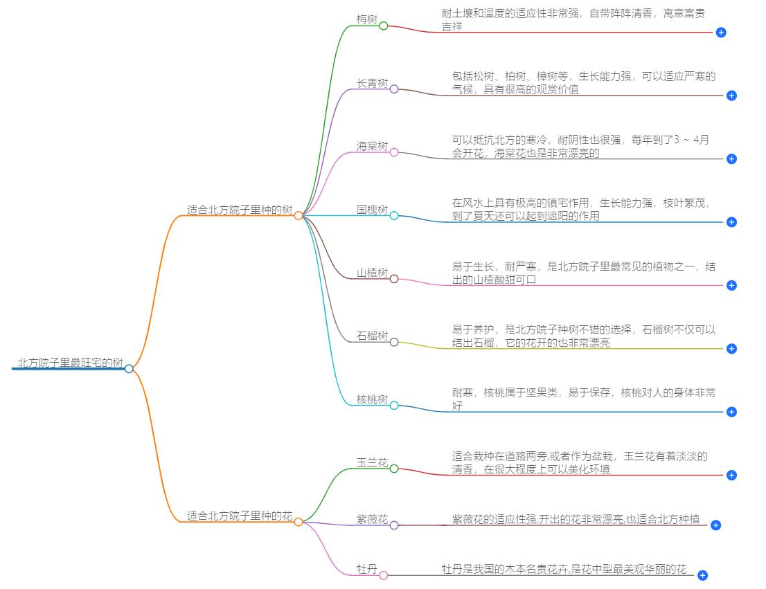 北方院子里最旺宅的树是什么？旺家旺运势的树木推荐