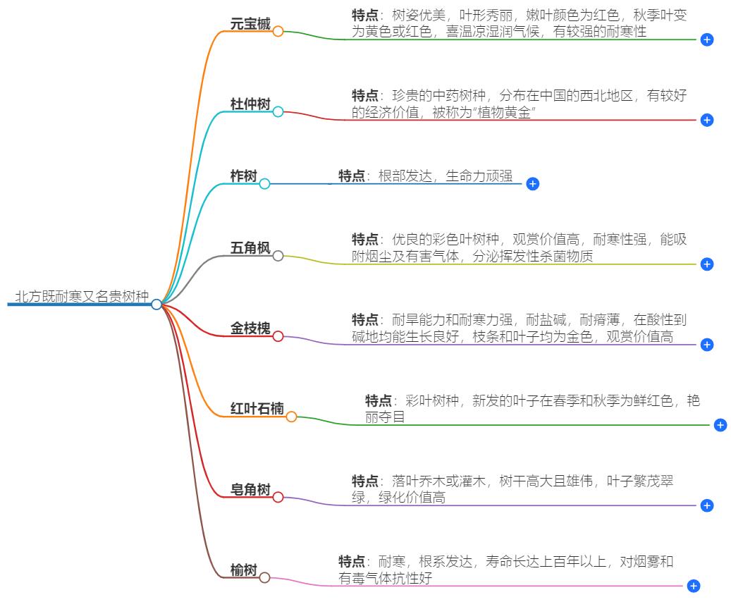 北方既耐寒又名贵树种是哪些？寒冷地区也能种植的珍贵树木