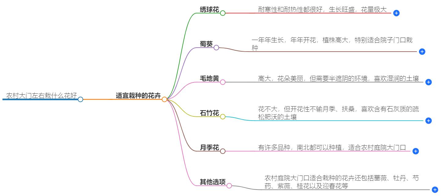 农村大门左右栽什么花好？推荐适合农村环境的花卉