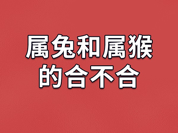 87兔男和92猴女的八字合不合？他们真不能在一起吗