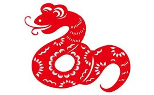 为什么属蛇智商排第一？深度解析其智慧之源