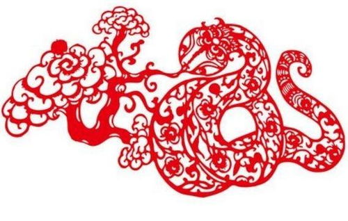 属蛇男会轻易做出承诺么？深度解析他们的承诺观