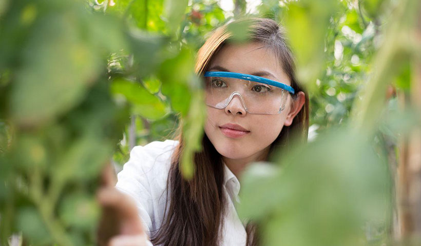哪个生肖女最精明？揭秘十二生肖女性的聪明才智