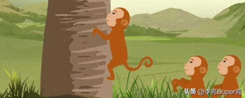2024年属猴的运气怎么样？解读2024年属猴人的全年运势