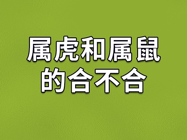 属鼠和属虎合不合？在一起合不合适