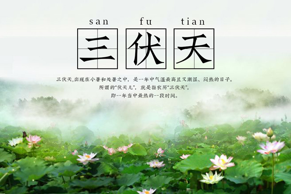 “三伏天”的“伏”究竟是什么意思？一个字道尽夏日炎炎