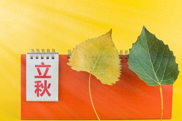 今年立秋后还会热吗？探索秋老虎的真正威力